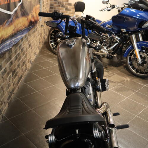 2022 Forty-Eight® (XL1200X) thumb 2
