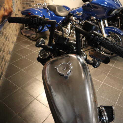2022 Forty-Eight® (XL1200X) thumb 1