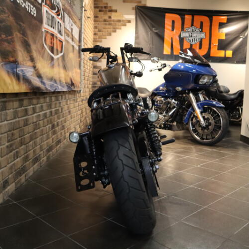 2022 Forty-Eight® (XL1200X) thumb 3