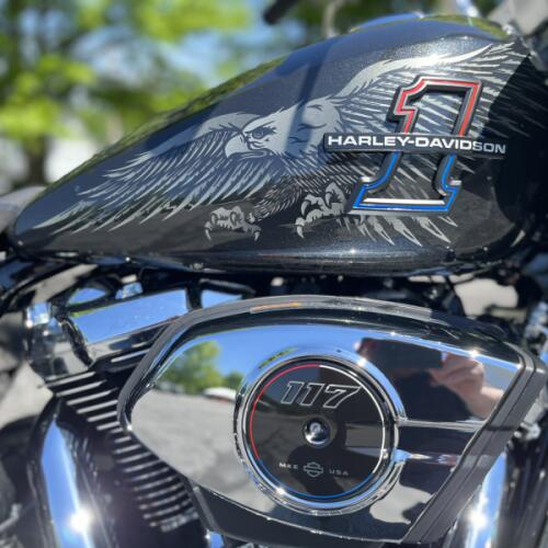 FLTRX 2026 Road Glide® thumb 2