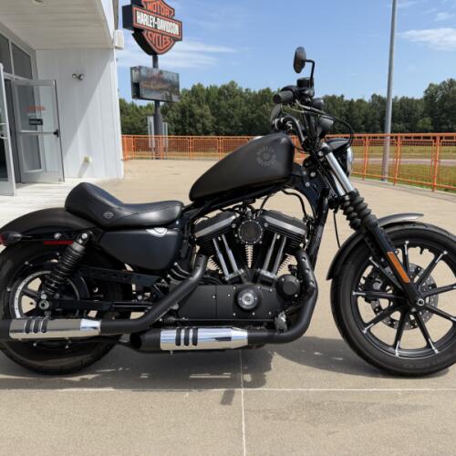 2021 Harley-Davidson® Iron 883™ River Rock Gray thumb 3
