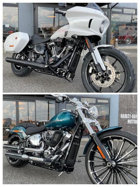 新車入荷情報