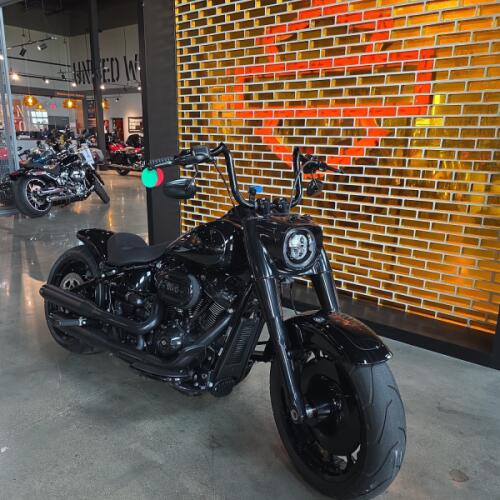 Harley-Davidson® Fat Boy® 2008 thumb 3