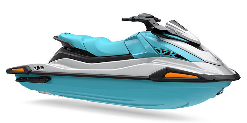 WaveRunner® VX