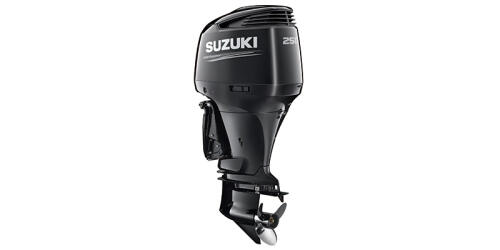 2026 DF250APX thumbnail