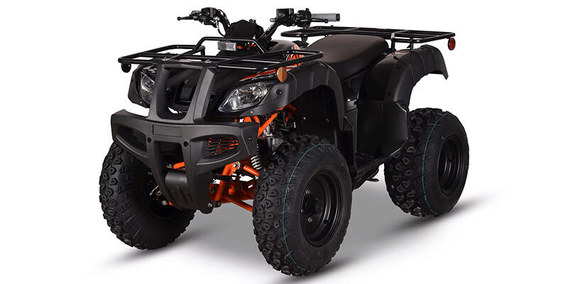 Bull 150 EFI
