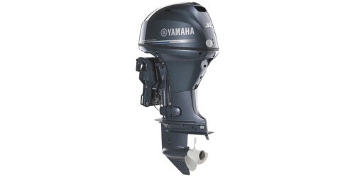 Four Stroke Midrange Compact F30LA thumbnail