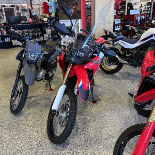 2026 Honda CRF300L Rally thumb 3