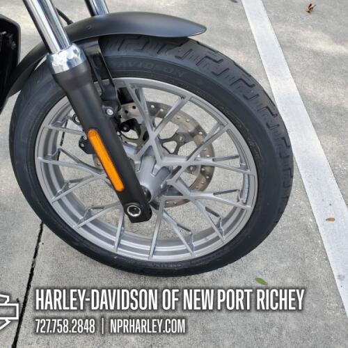 RH975S 2026 Nightster Special® thumb 2