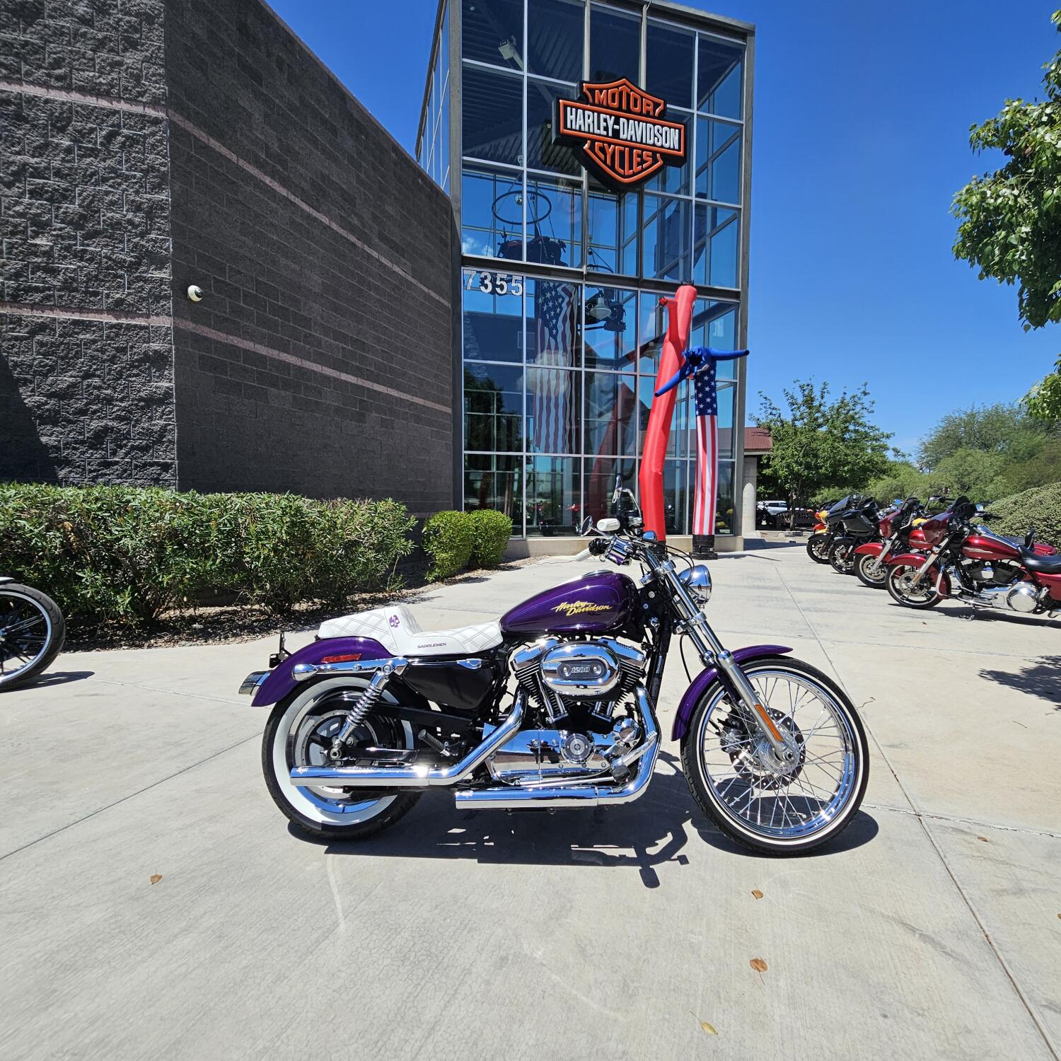 XL1200C 2008 1200 Custom