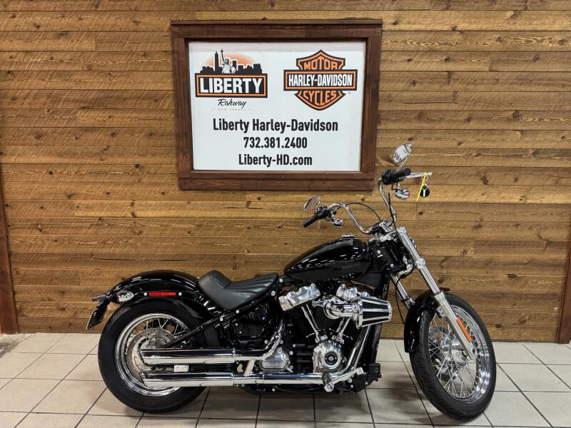 2020 Harley-Davidson® Softail Standard® Vivid Black FXST