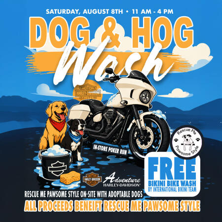 Dog & Hog Wash