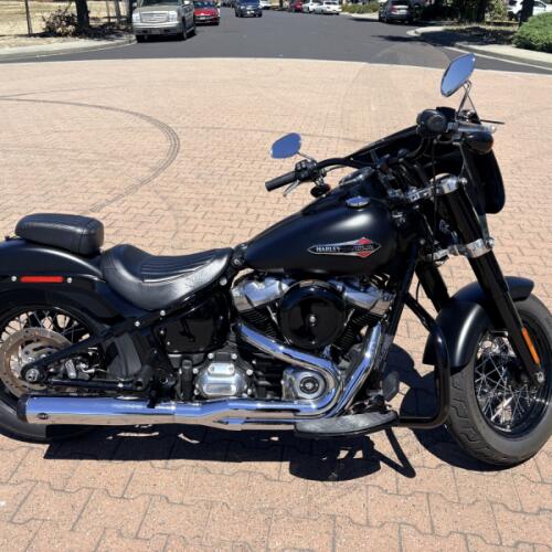 FLSL 2020 Softail Slim® thumb 0