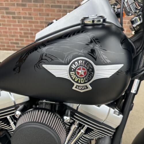 2010 Harley-Davidson Fat Boy Special FLSTFB thumb 3
