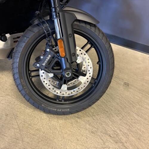 2026 Harley-Davidson® Pan America® 1250 Special RA1250S thumb 2