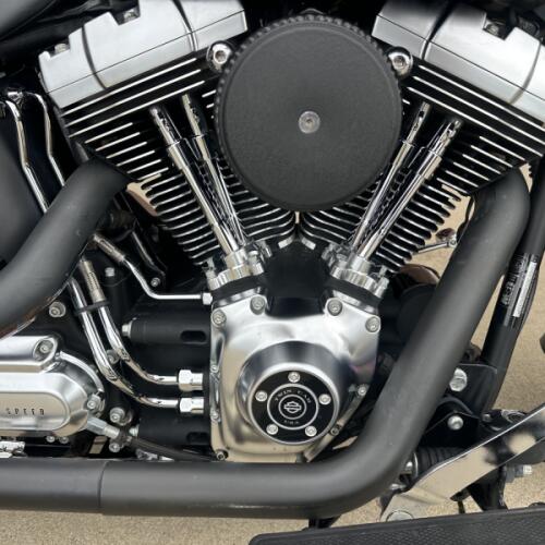 2010 Harley-Davidson Fat Boy Special FLSTFB thumb 2