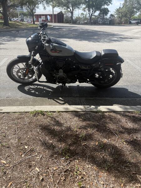 2024 Harley-Davidson® Nightster® Special Billiard Gray
