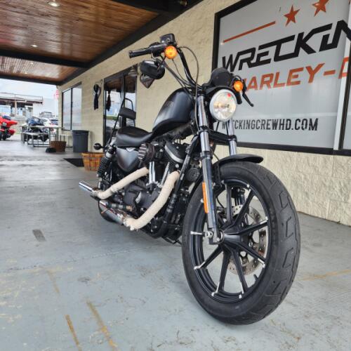 Used 2016 Harley-Davidson Iron 883 for Sale in Sarasota, FL thumb 0