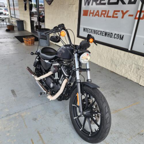 Used 2016 Harley-Davidson Iron 883 for Sale in Sarasota, FL thumb 1