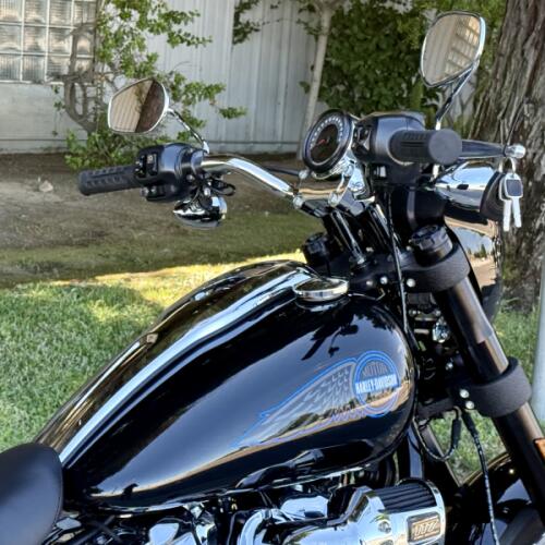 FXLRS 2026 Low Rider® S thumb 0