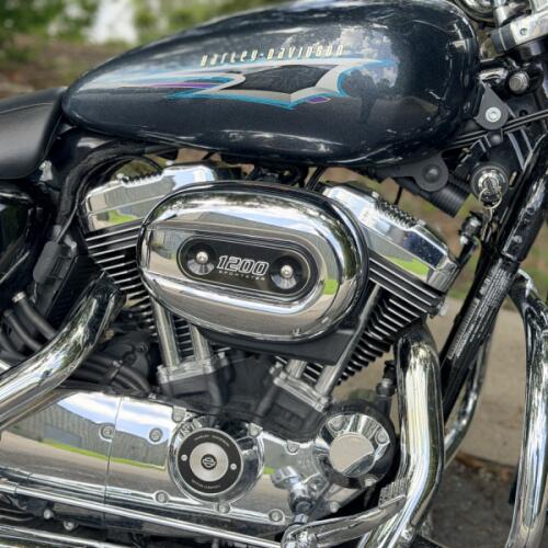 XL1200T 2015 SuperLow® 1200T thumb 0