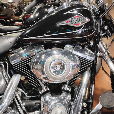 2009 Harley-Davidson® Heritage Softail® Classic thumb 2