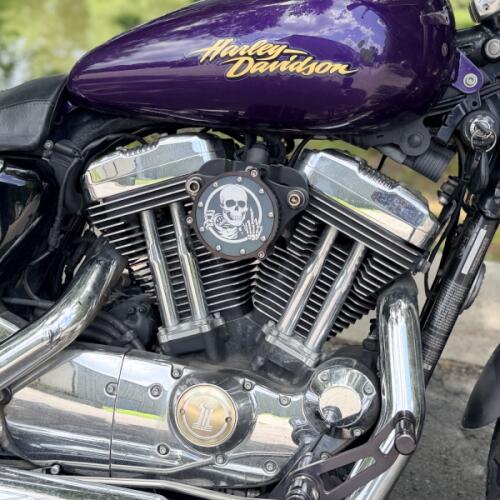 XL 1200L 2008 Sportster® 1200 Low thumb 0