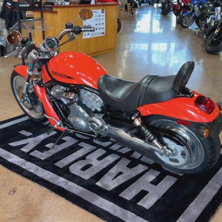 2004 VRSCB - V Rod thumb 3