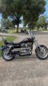 XL1200T 2015 SuperLow® 1200T