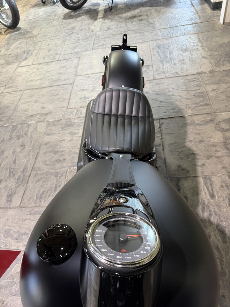 2026 Harley-Davidson® Deadwood™, photo 18