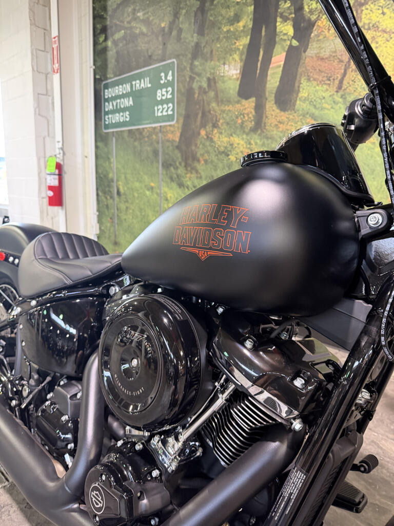 2026 Harley-Davidson® Deadwood™, photo 2