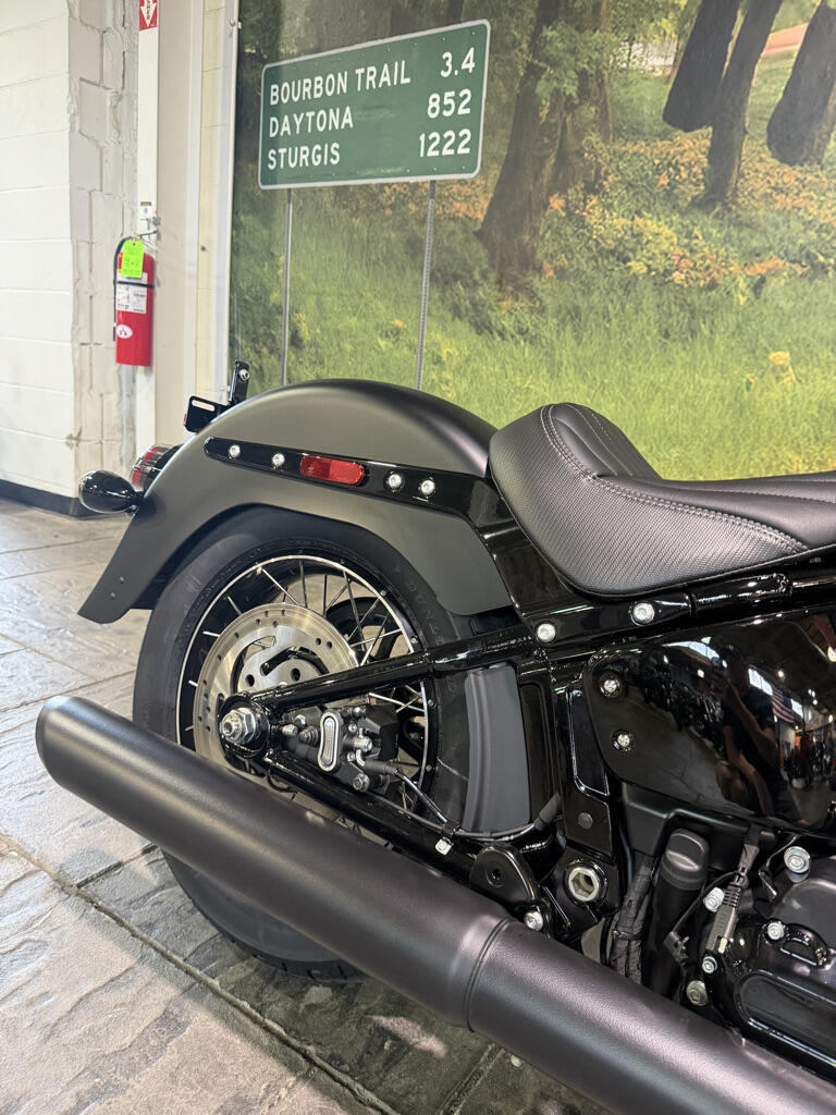 2026 Harley-Davidson® Deadwood™, photo 6