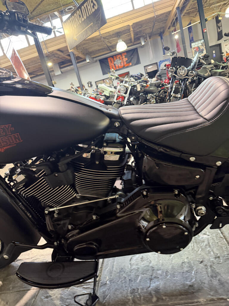 2026 Harley-Davidson® Deadwood™, photo 14