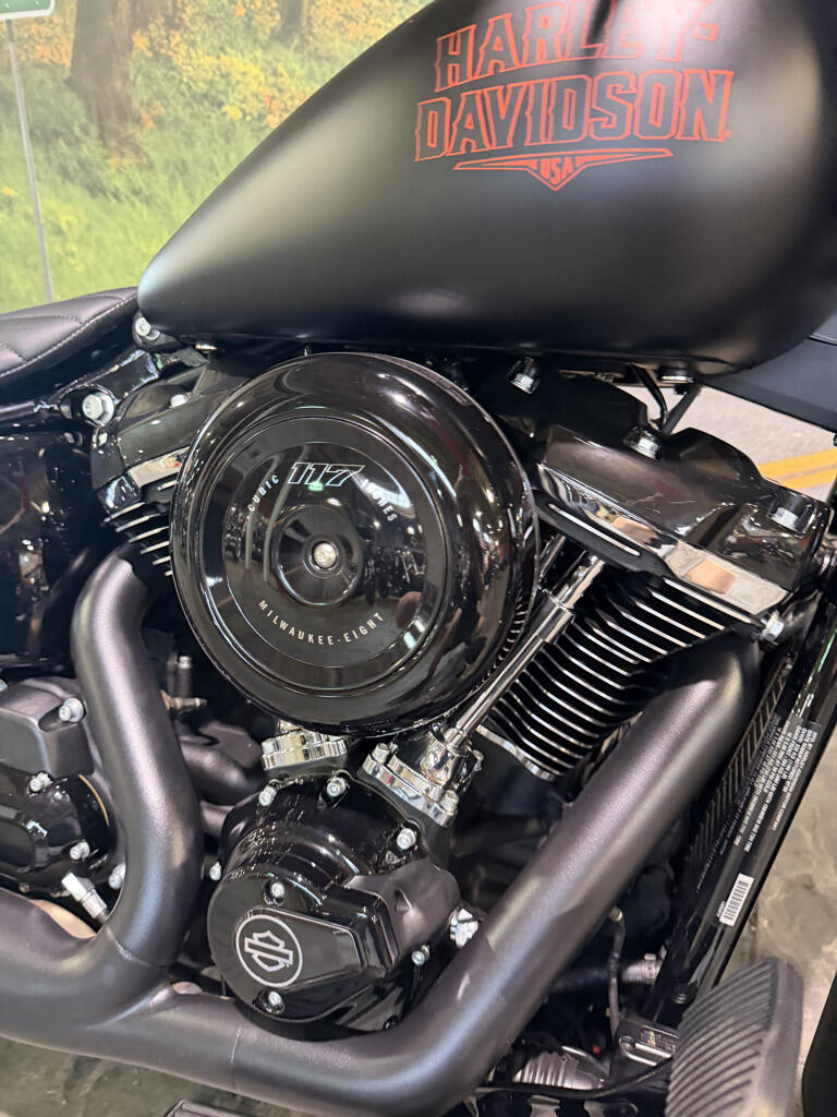 2026 Harley-Davidson® Deadwood™, photo 3