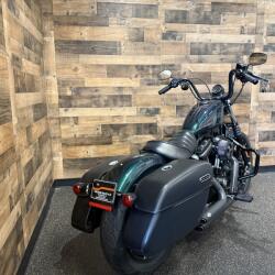 2021 Harley-Davidson® Iron 883™ Snake Venom XL883N | Freedom
