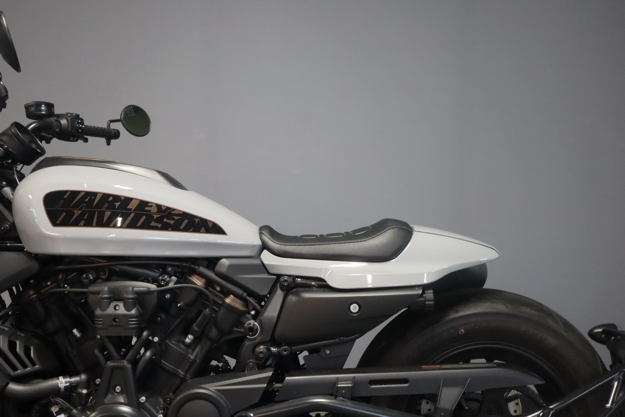 2024 Harley-Davidson® Sportster® S (RH1250S), photo 12
