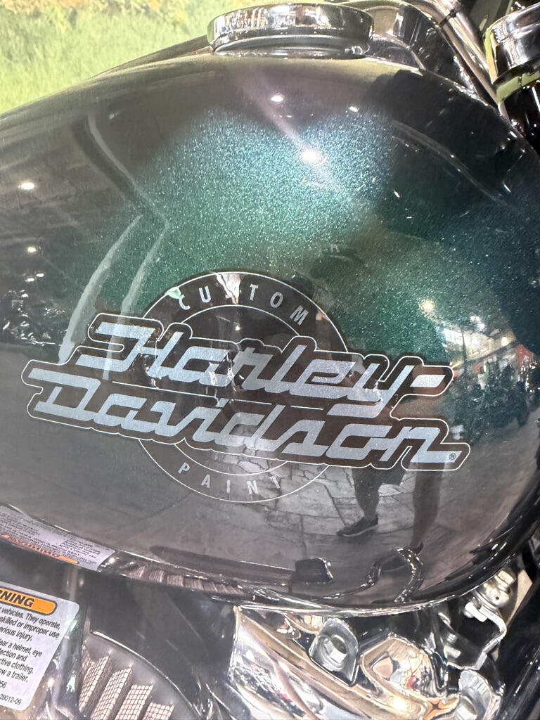2021 Harley-Davidson® Street Glide® Special, photo 3