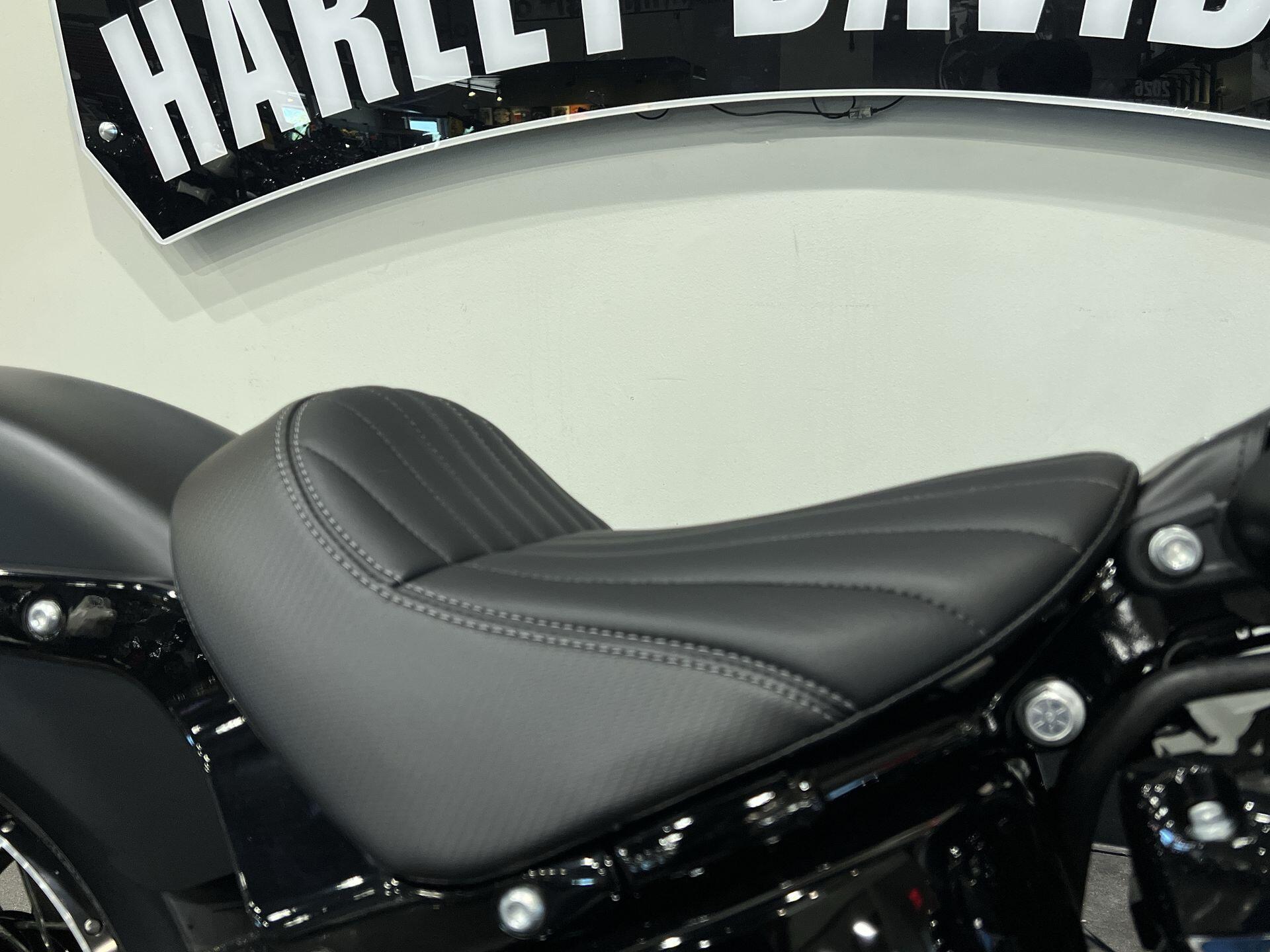 2026 Harley-Davidson® Deadwood™ FLHD, photo 6