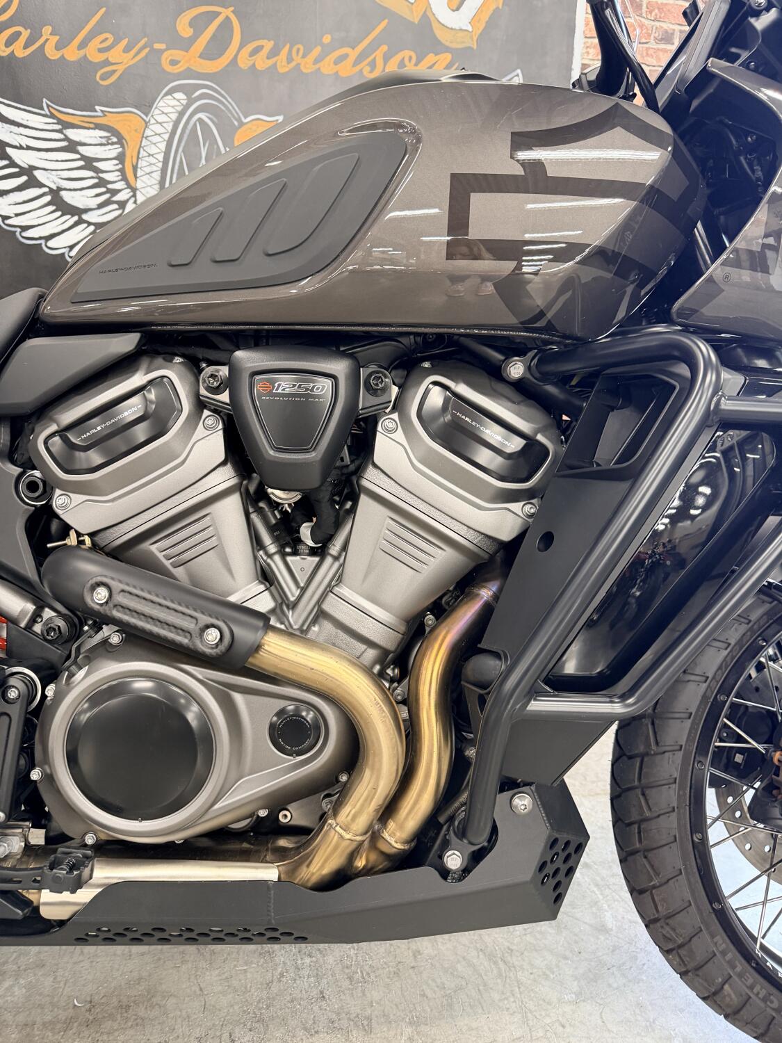 2023 Harley-Davidson® Pan America™ 1250 Special RA1250S, photo 2