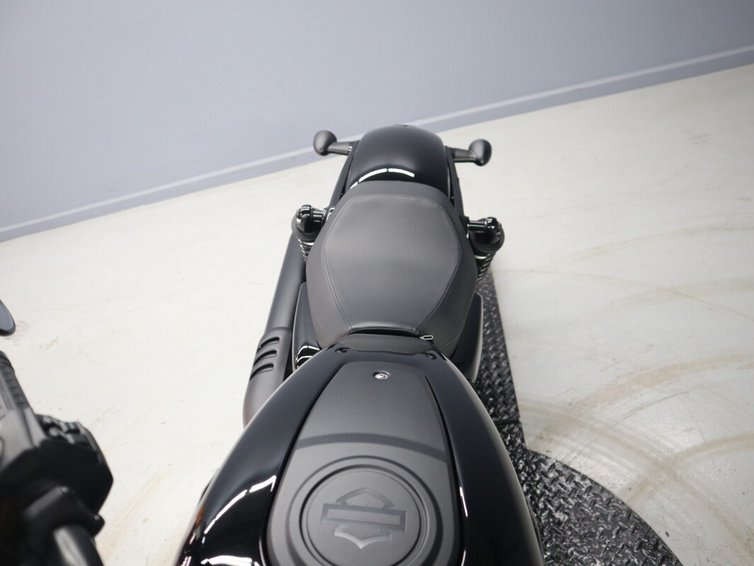 2026 Harley-Davidson® Nightster™ RH975, photo 29