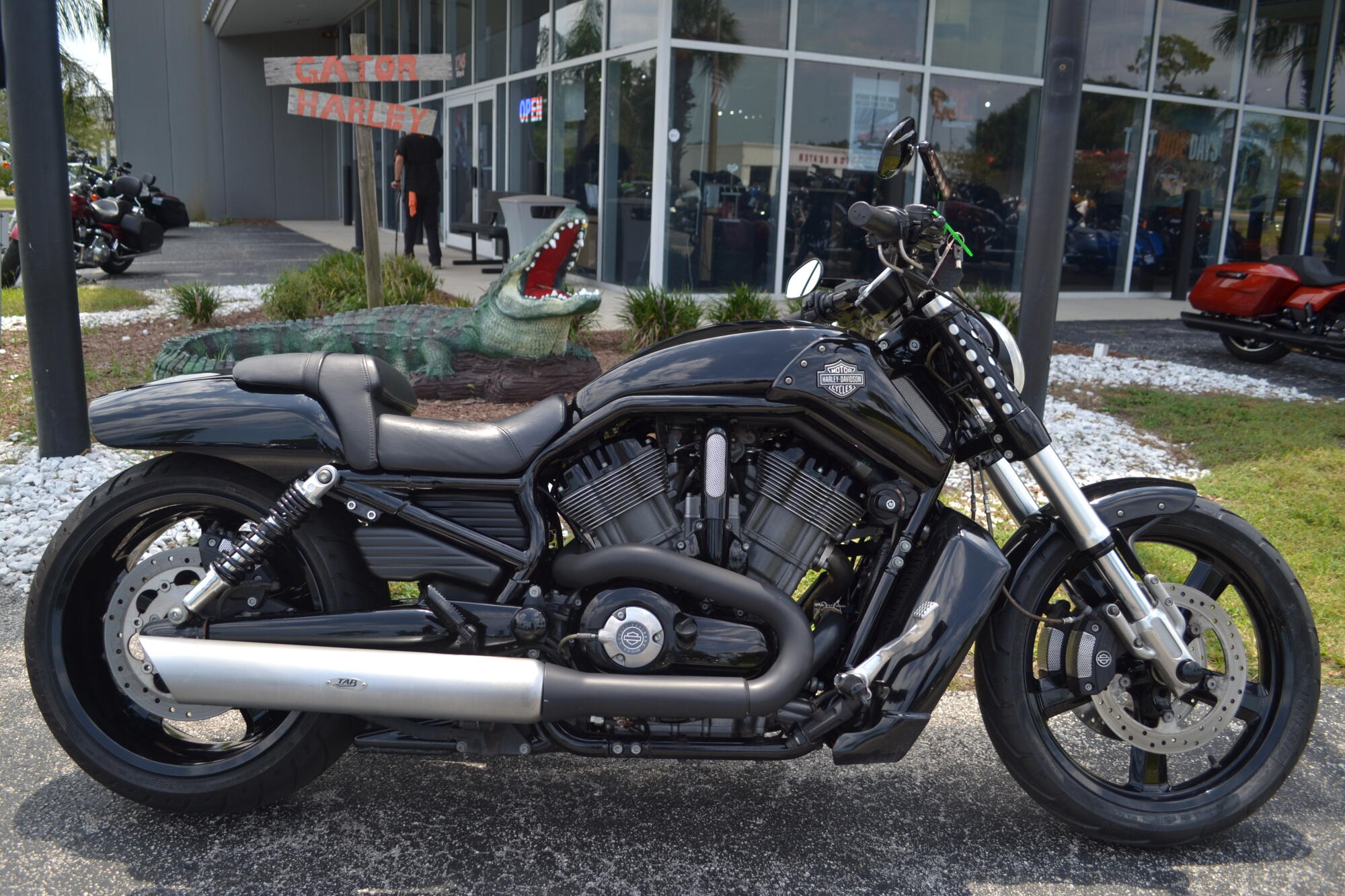 2011 Harley-Davidson® V-Rod Muscle® - VRSCF