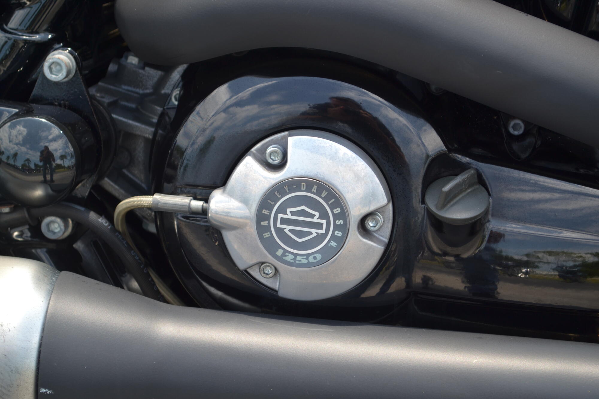 2011 Harley-Davidson® V-Rod Muscle® - VRSCF, photo 4