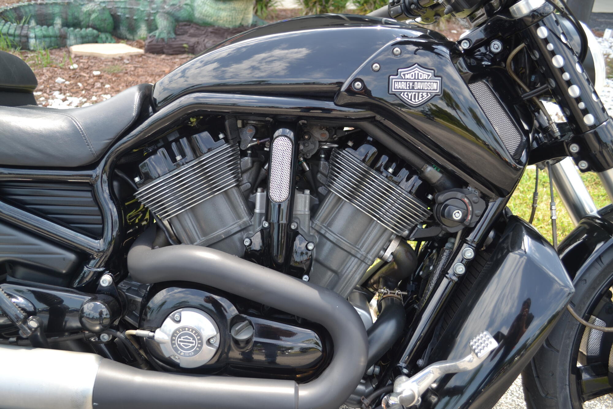 2011 Harley-Davidson® V-Rod Muscle® - VRSCF, photo 3