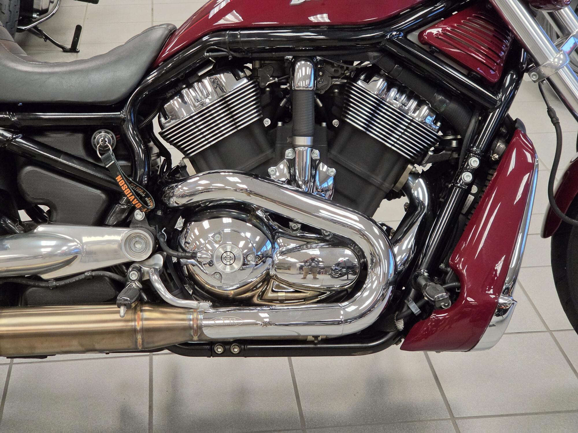 VRSCD 2006 Night Rod, photo 11