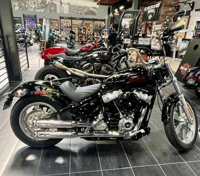 Used Harley Davidson For Sale in Morris Plains | Garden State