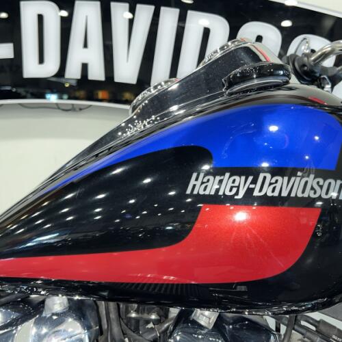 Used Harley-Davidson® Low Rider Motorcycles for sale near Fort