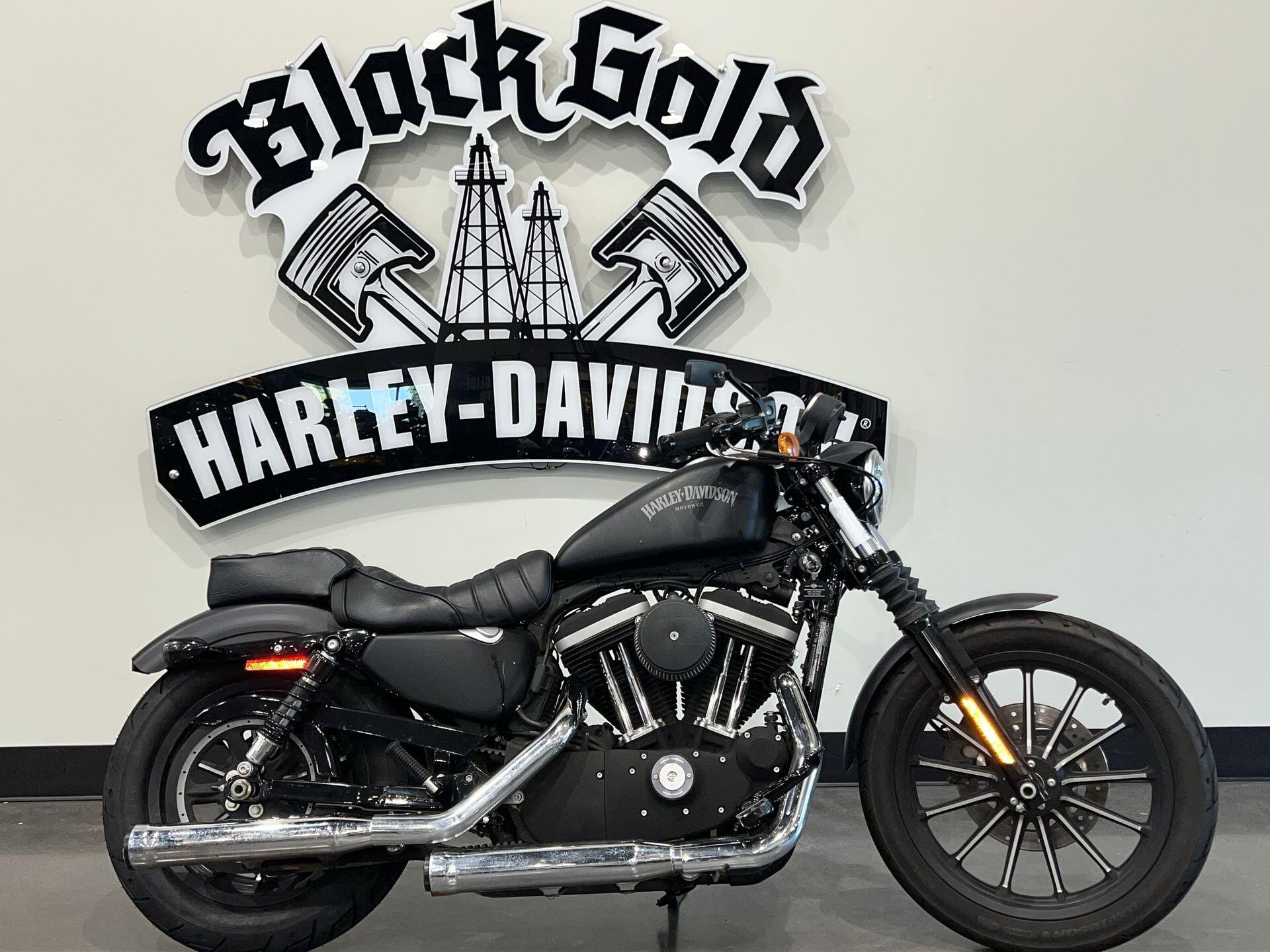 2013 Harley-Davidson® Iron 883™ XL 883N