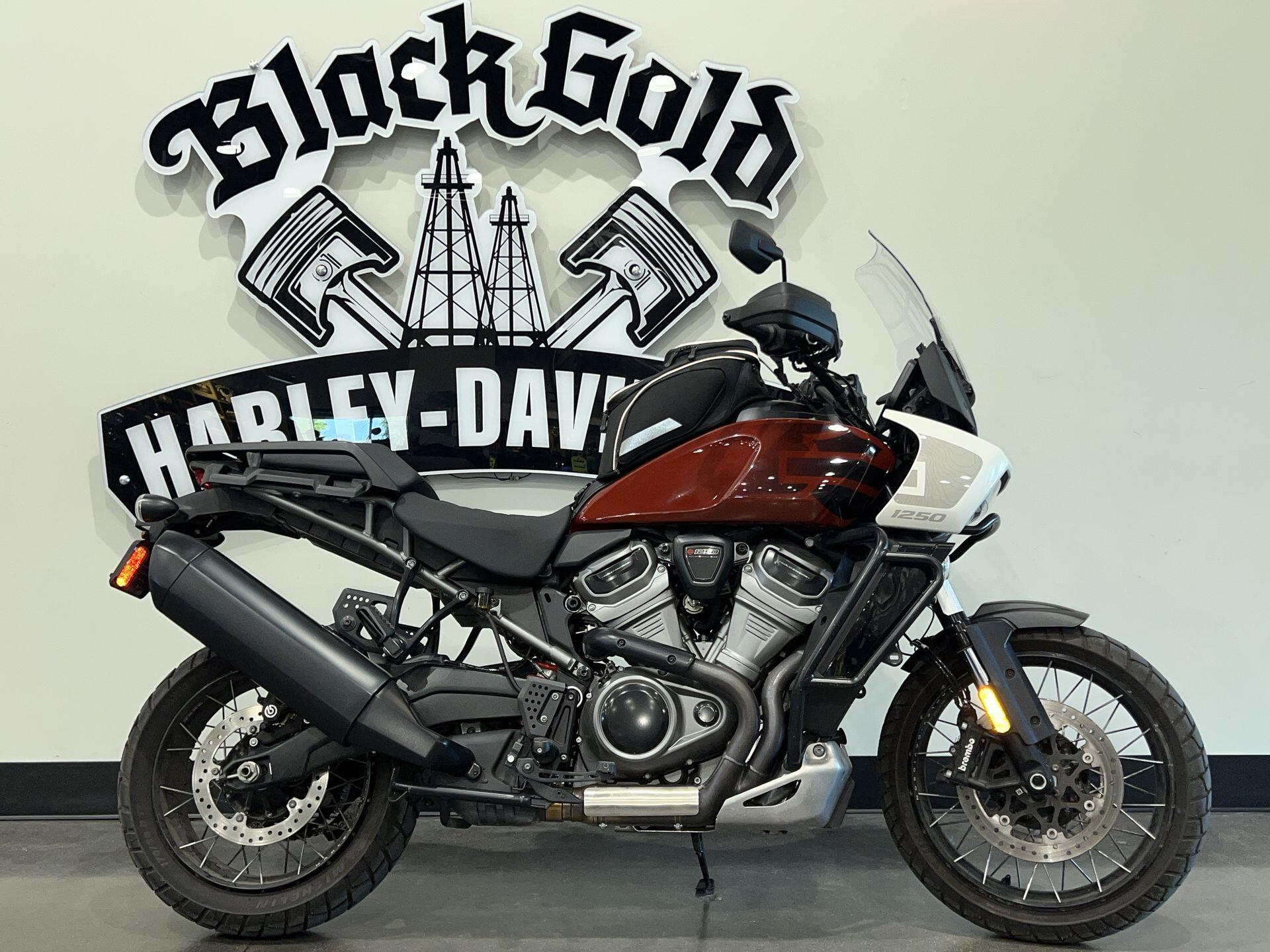 2024 Harley-Davidson® Pan America™ 1250 Special RA1250S