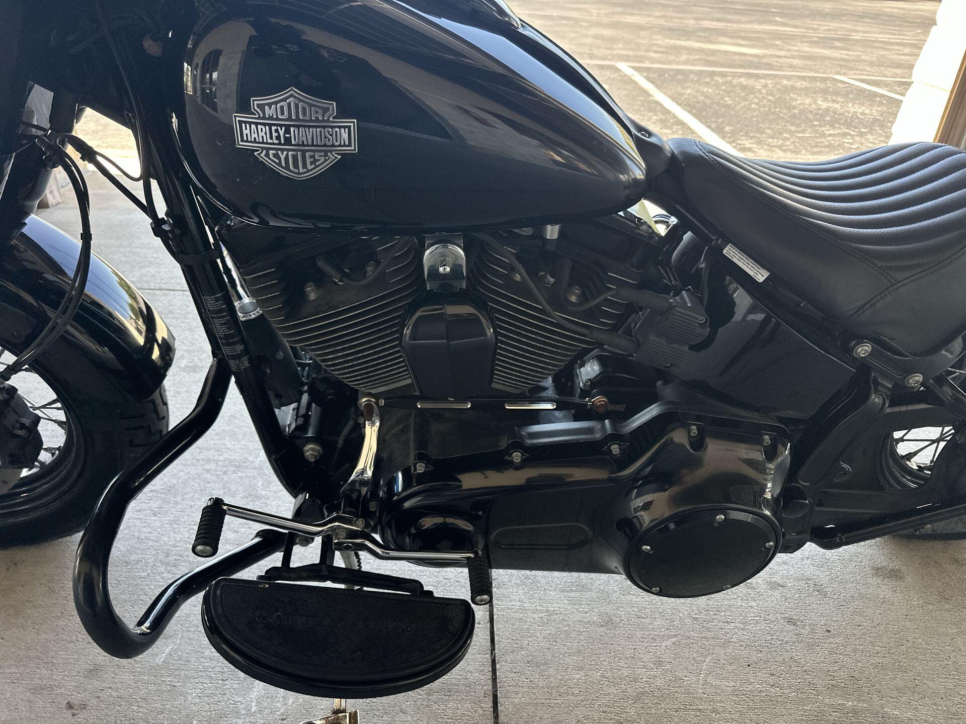 2017 Harley-Davidson® Softail Slim® S FLSS, photo 13