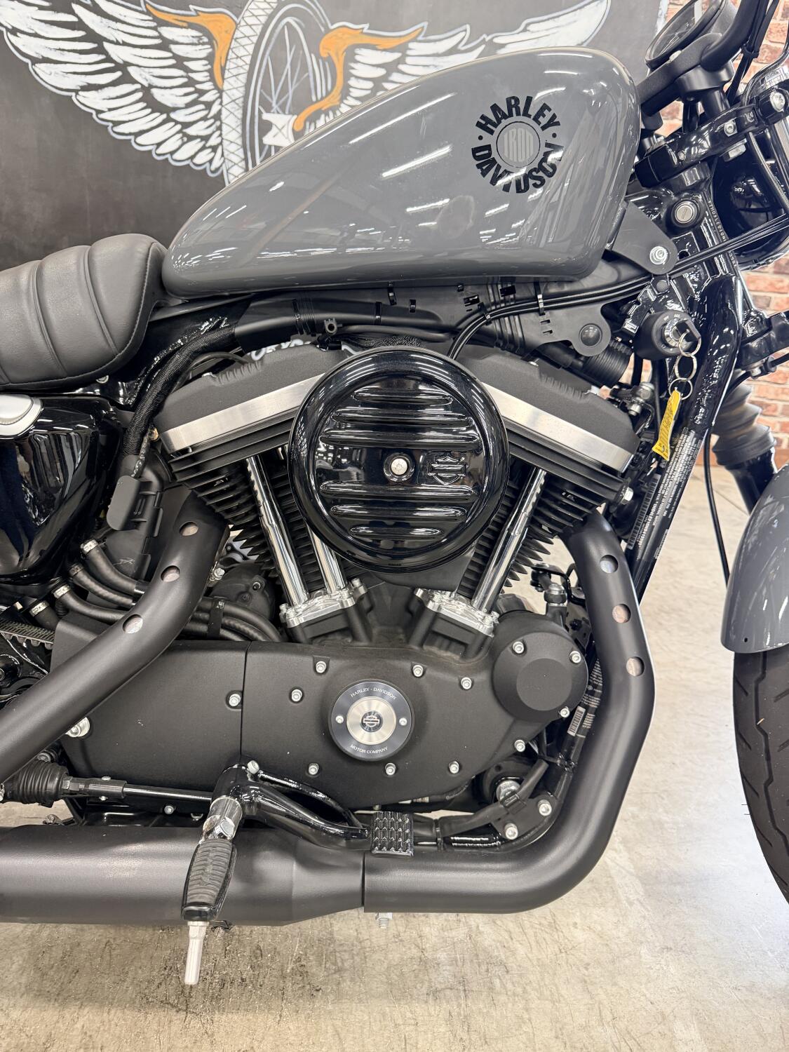 2022 Harley-Davidson® Iron 883™ XL 883N, photo 3